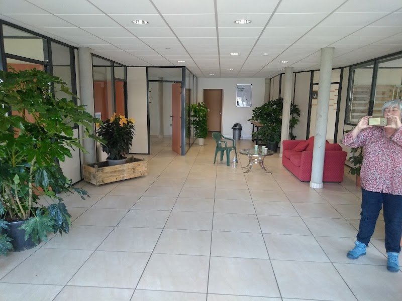 Dog Educ 18 - photo 3