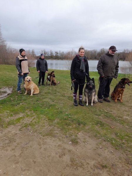 Cani-City-Educ / Educateur-Comportementaliste Canin - photo 1