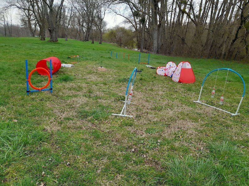 Cani-City-Educ / Educateur-Comportementaliste Canin - photo 2