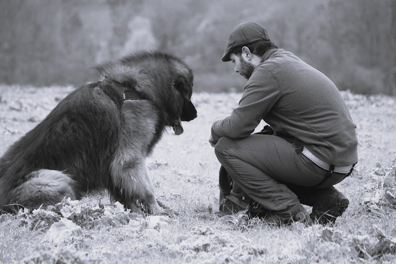 Cani-City-Educ / Educateur-Comportementaliste Canin - photo 3
