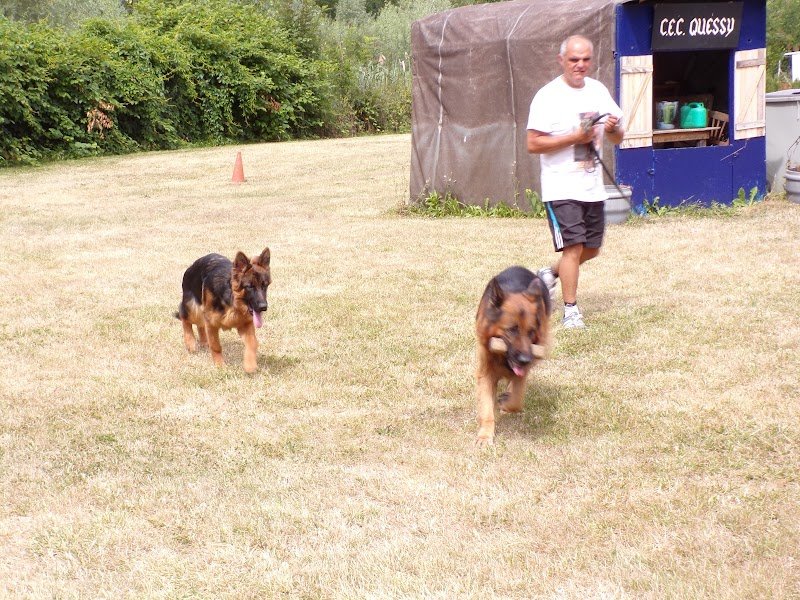 Mon Chien Et Moi - photo 1