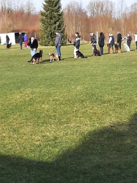 Mon Chien Et Moi - photo 2