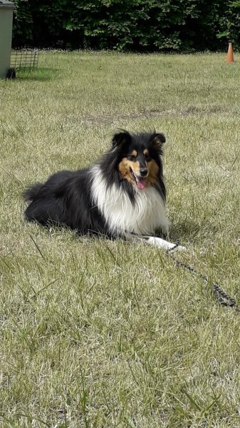 Mon Chien Et Moi - photo 3