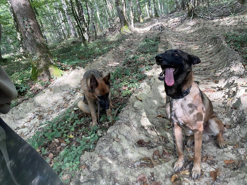 Pension canine familiale Pacopi - photo 3