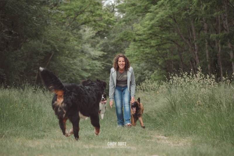 Zencanitude Intervenante en éducation et comportement canin 36