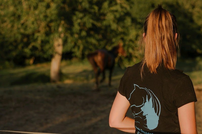 Anaïs.D Masseur equin et canin - photo 1