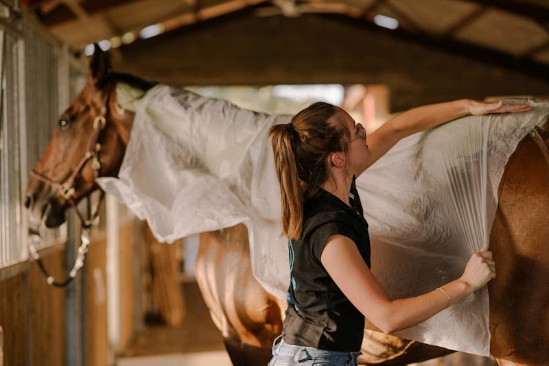 Anaïs.D Masseur equin et canin - photo 3