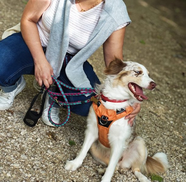 DOG THER'HAPPY - photo 2