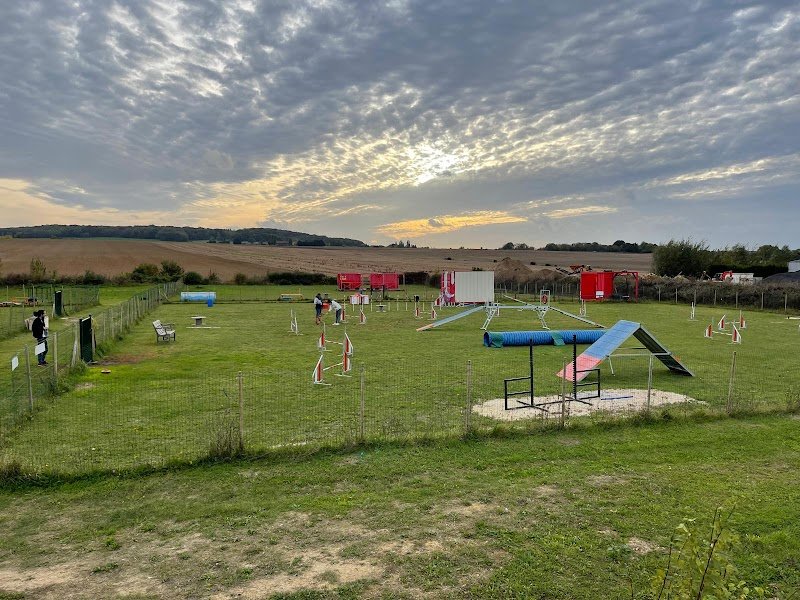 Canidélite | Centre Canin Égly