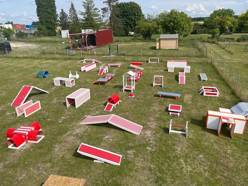 Canidélite | Centre Canin Égly - photo 2