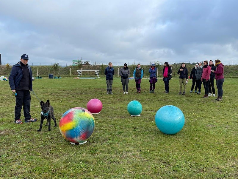 Canidélite | Centre Canin Égly - photo 3
