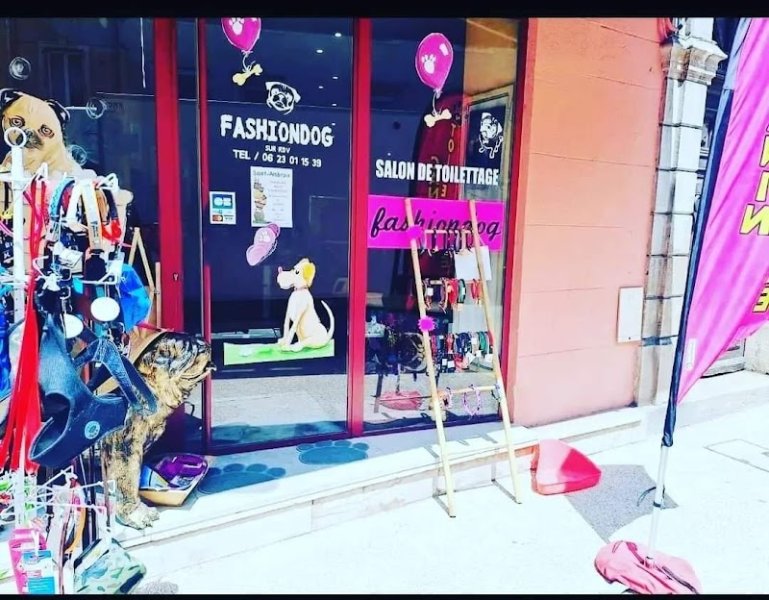 fashiondog - photo 1
