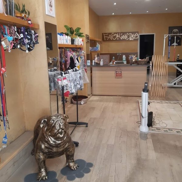 fashiondog - photo 2