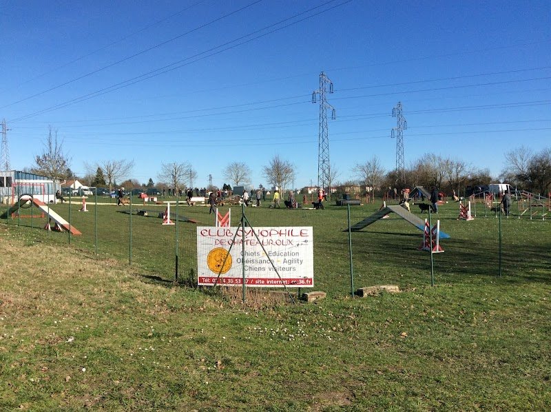 Club cynophile saint Maurois - photo 3