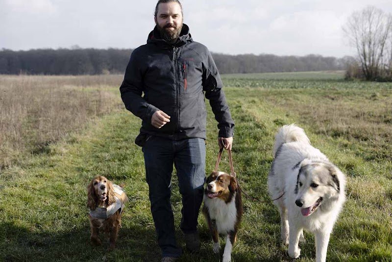 Charly's Dogs Education et comportement canin