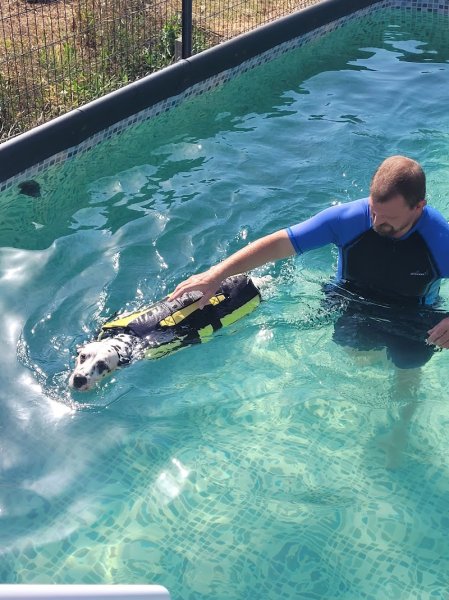 Services Canins Gipteau E.I.