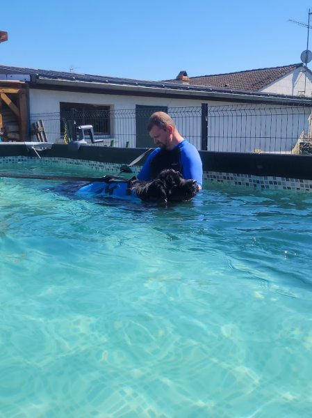 Services Canins Gipteau E.I. - photo 2