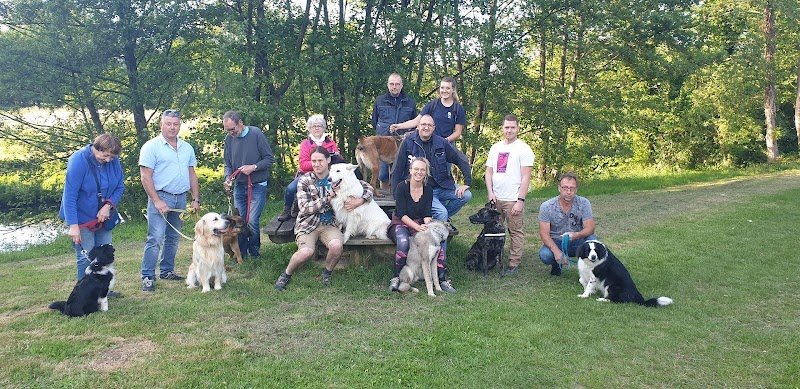 Amis Dogs 76 - photo 2