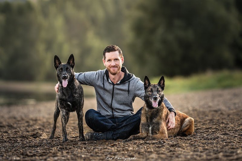 Olivier Davain - Educateur canin - Comportementaliste canin 37 - photo 3