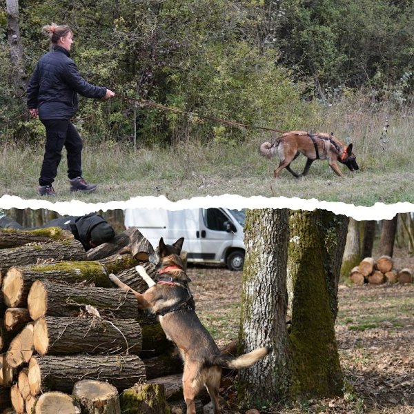 Édu'Cat Pat : Éducation et comportement canin - photo 1