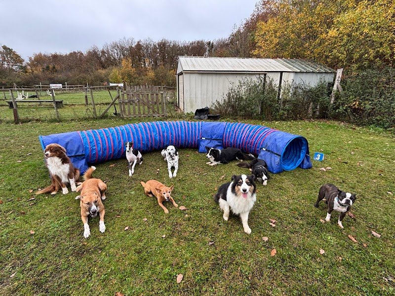 Club Canin Multi Pat's - photo 3