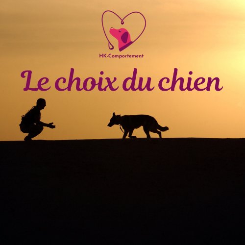 HK-comportement : communiquer avec son chien