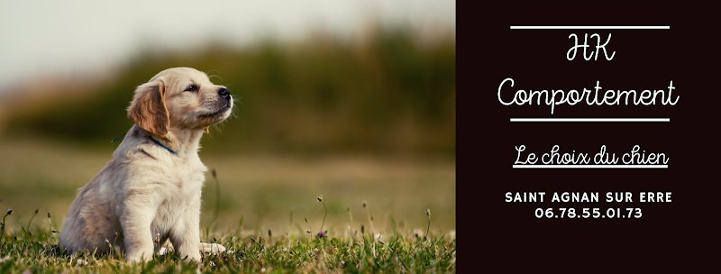 HK-comportement : communiquer avec son chien - photo 3