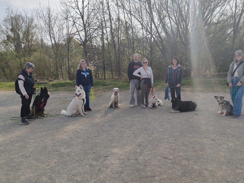 Milie KniD - Éducateur et comportementaliste canin à Chartres, Dourdan et Rambouillet