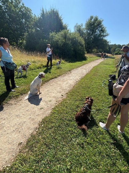 Milie KniD - Éducateur et comportementaliste canin à Chartres, Dourdan et Rambouillet - photo 2