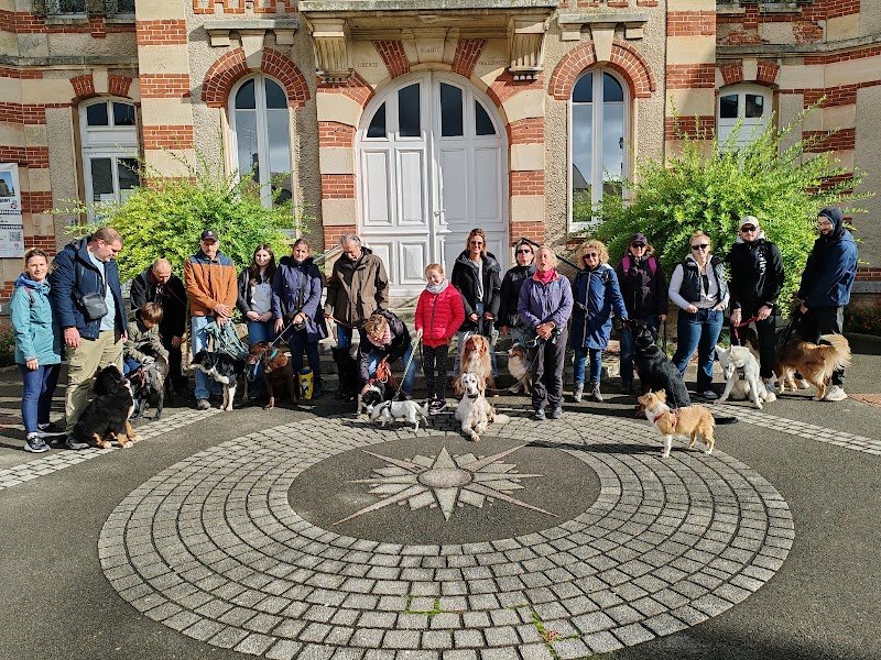 Milie KniD - Éducateur et comportementaliste canin à Chartres, Dourdan et Rambouillet - photo 3