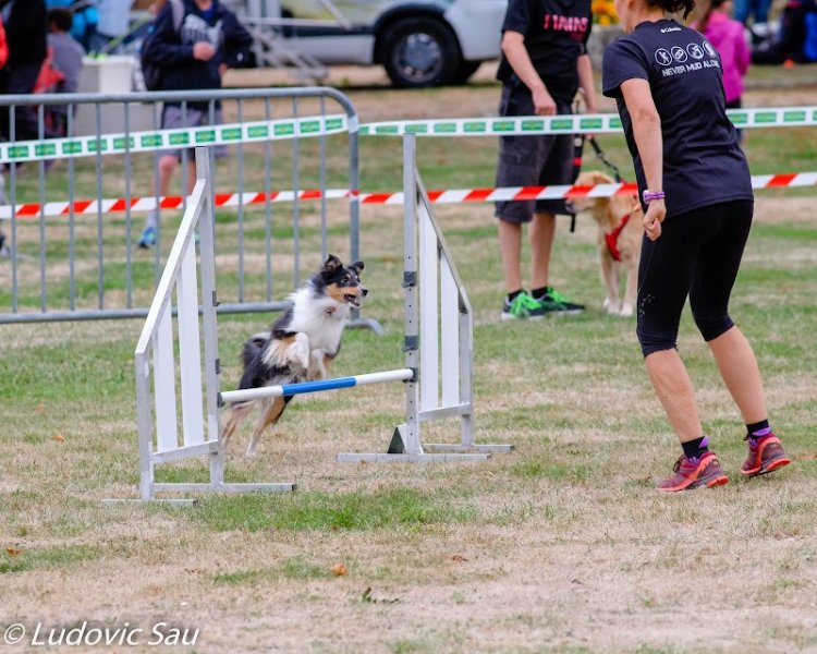Club Canin de la Voise - photo 2