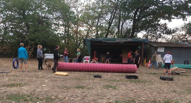 Club Canin de la Vallée de Maintenon - photo 2