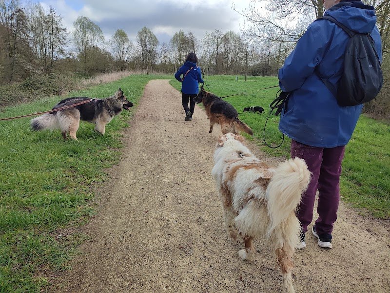 Os'cours : Apprendre à comprendre son chien - photo 2