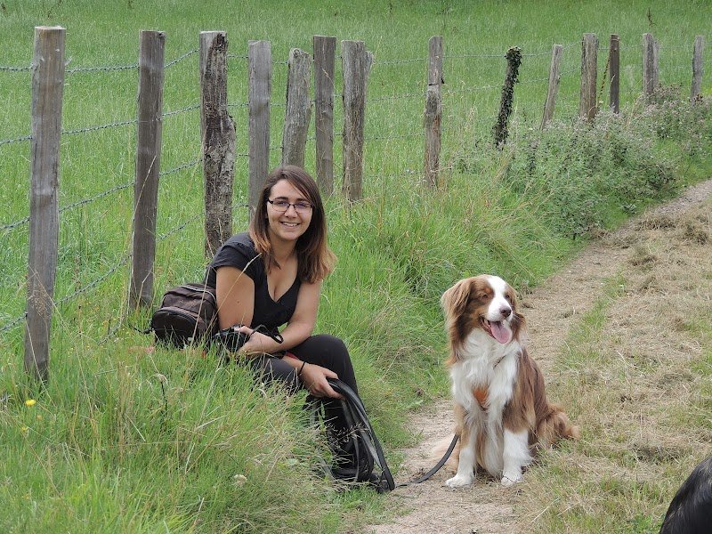 Os'cours : Apprendre à comprendre son chien - photo 3