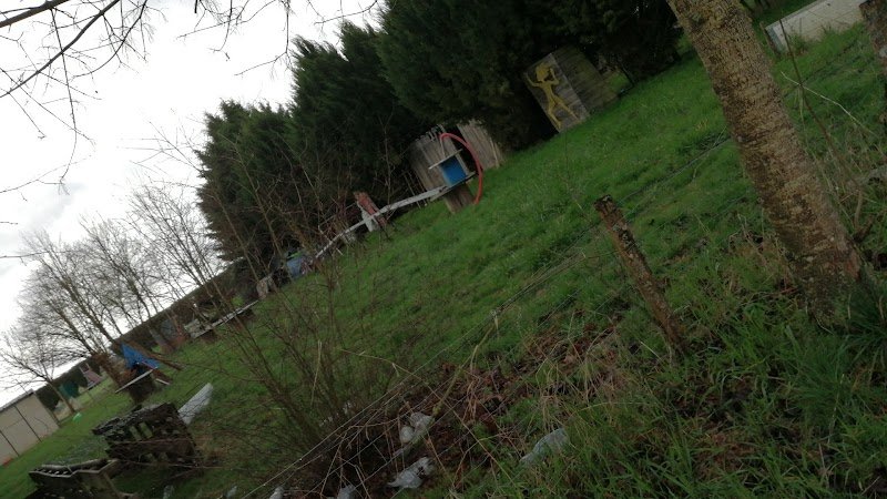 Cani'Gite et Education et Sport Canin - photo 1