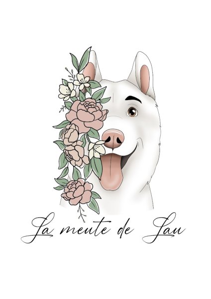 La Meute De Lau - éducateur canin 78 - photo 2