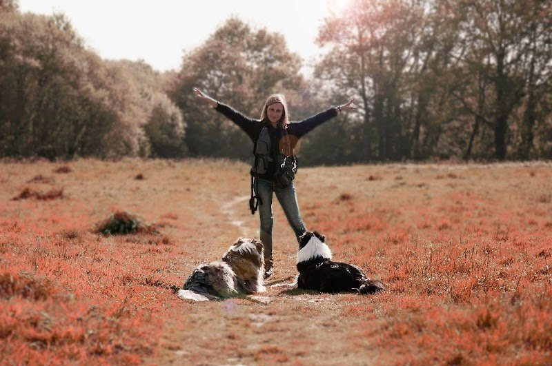 CANIS DEI - éducateur canin - comportementaliste - photo 1