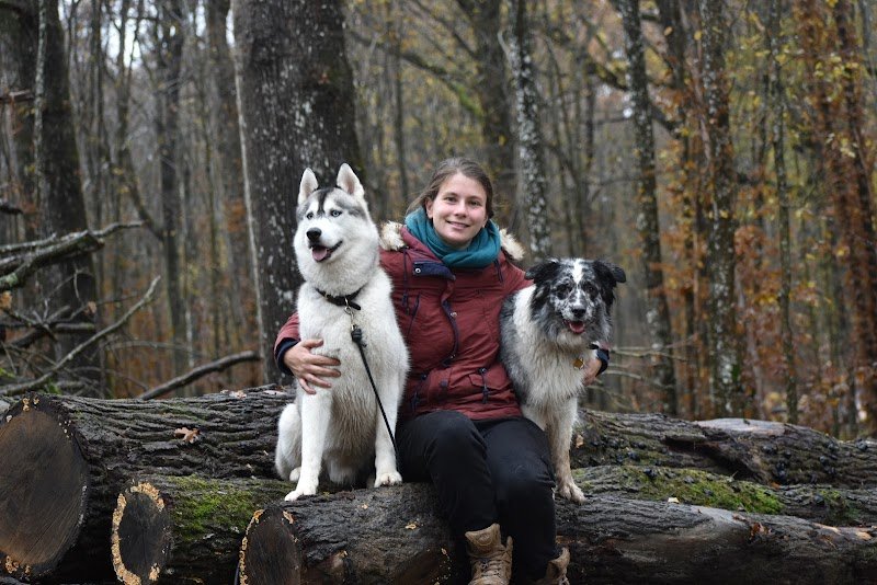 Langage de Chien - éducateur canin comportementaliste