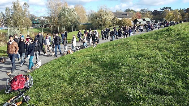 Team EDUKANIN - éducateur et coach canin - photo 1