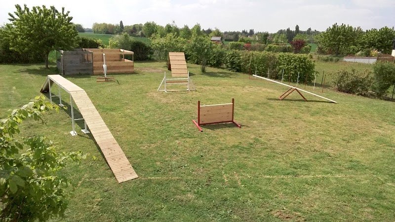 Team EDUKANIN - éducateur et coach canin - photo 2