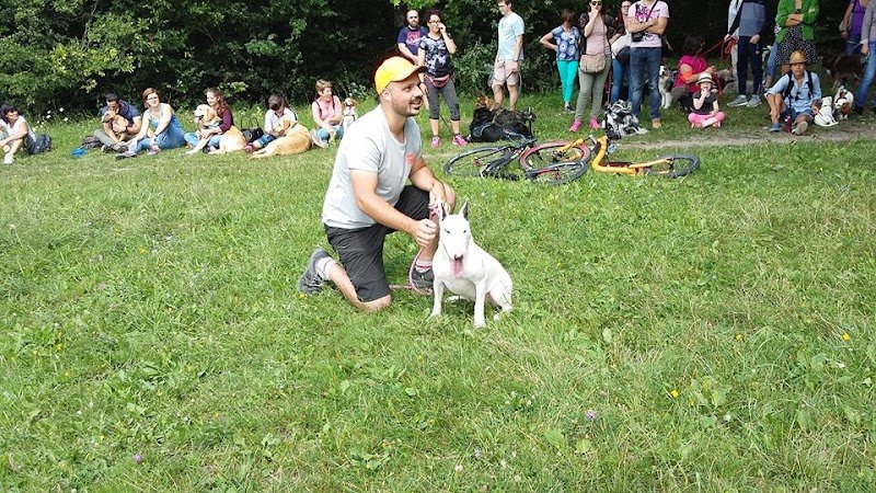 Team EDUKANIN - éducateur et coach canin - photo 3