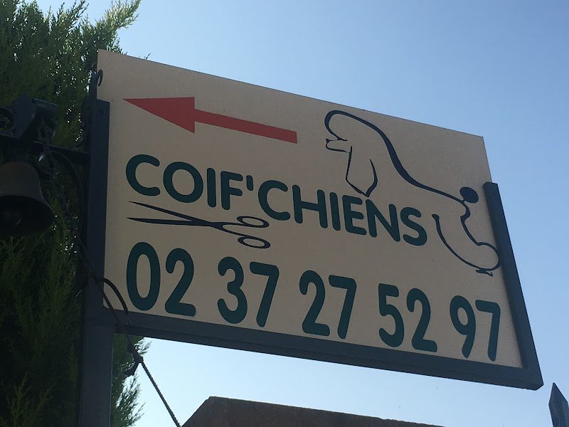 Coif’Chiens