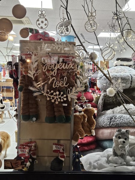 Le Chien Mignon - photo 2