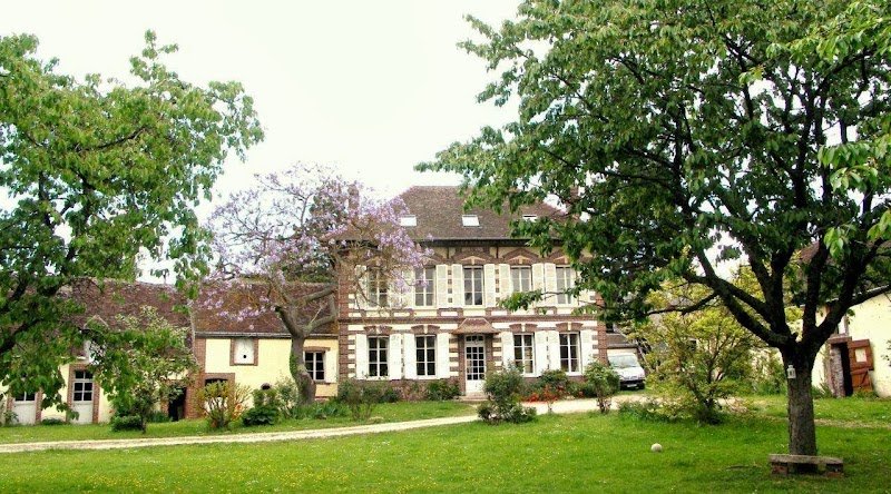 Caninature - photo 3