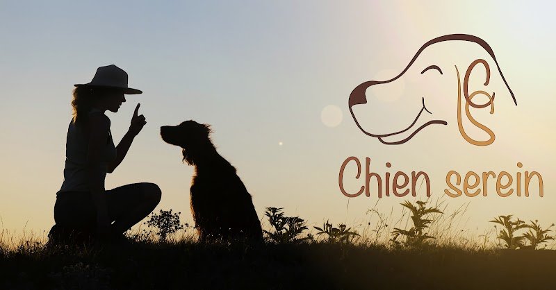 Chien Serein - Pension canine, Parc Canin , éducation canine, photo animalière
