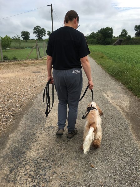 Correct'Eure Canin - photo 1