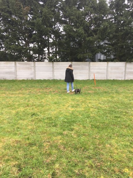 Correct'Eure Canin - photo 2