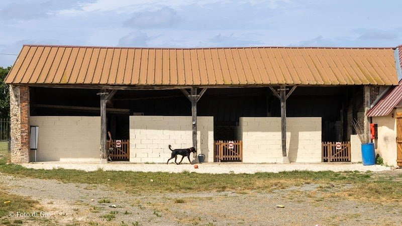 Les Amicanins - photo 2