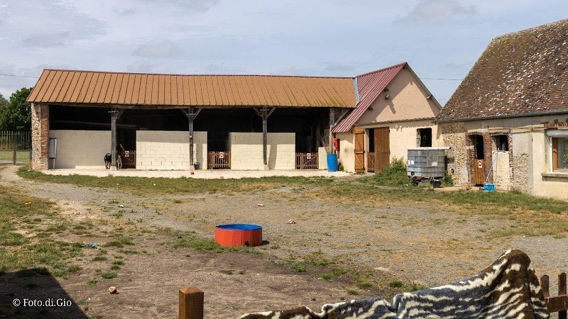 Les Amicanins - photo 3