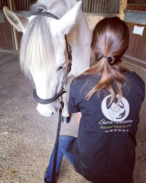 Sara Valentin Massage Equin & Canin